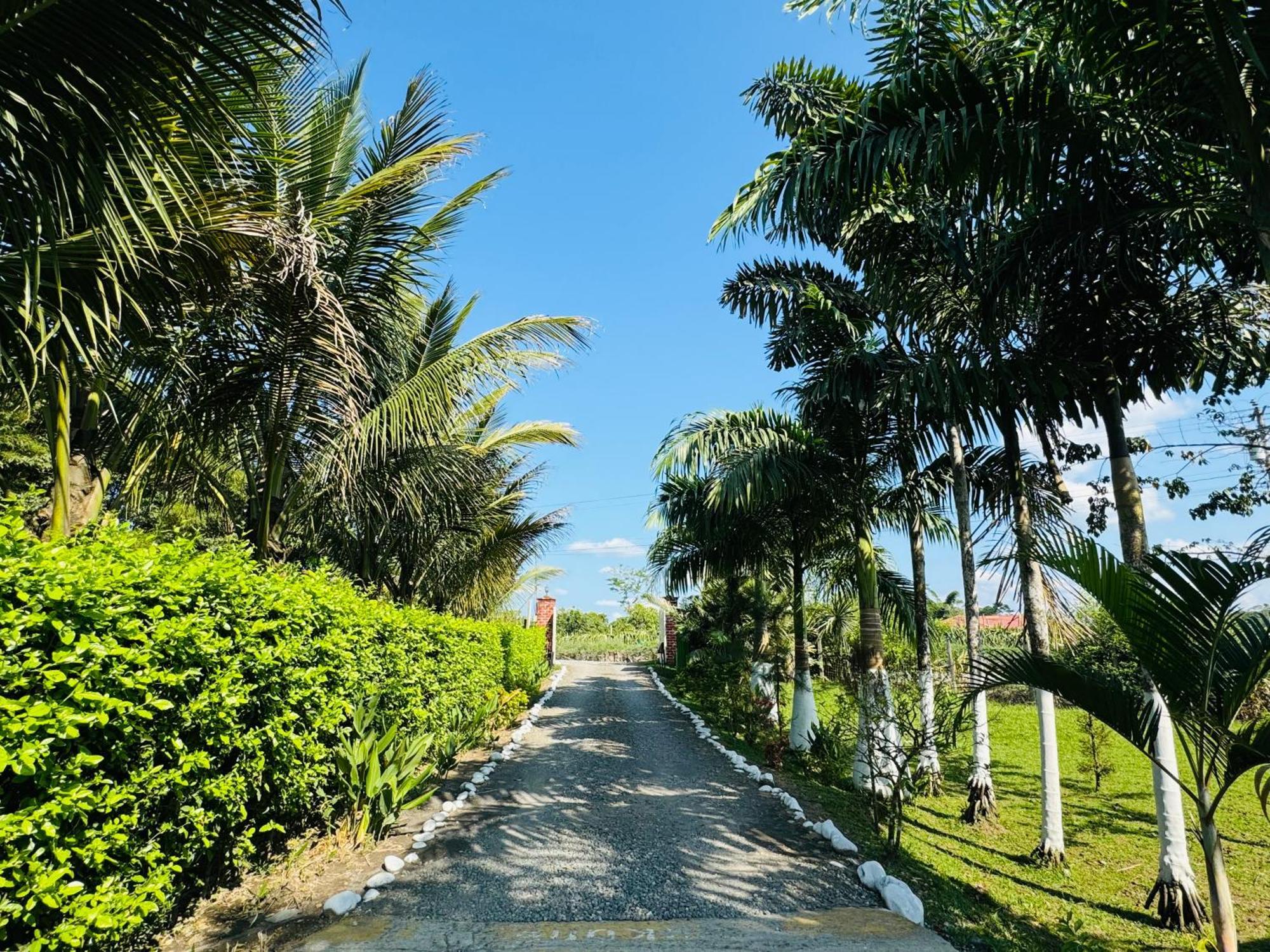 Amazon Gardens Hotel Mera Exterior photo